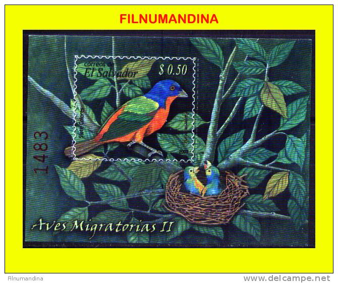 EL SALVADOR 2007 FAUNA FAUNE OISEAUX VOGEL BIRDS FEUILLET SOUVENIR SHEET,BLOCK NEUF** MNH POSTFRISCH - Autres & Non Classés