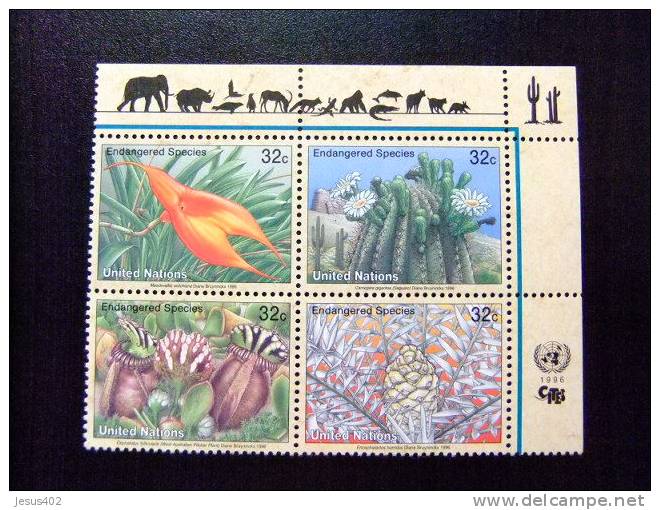 NACIONES UNIDAS 1996 Flora Protección De La Naturaleza ONU NEW YORK Yvert N º 695 / 698 ** MNH - Ungebraucht