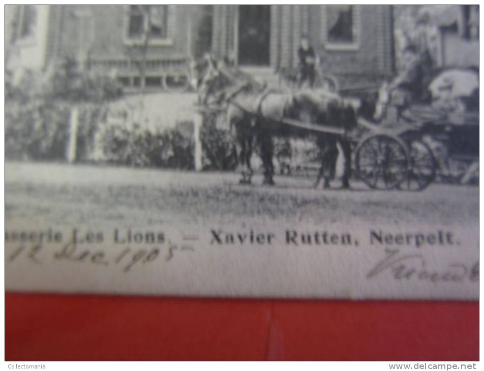 1 Postkaart Rond 1900 RECLAME Brasseur Brouwer, NEERPELT: Brasserie Les Lions Xavier Rutten, Levering Met Paard En Kar - Neerpelt