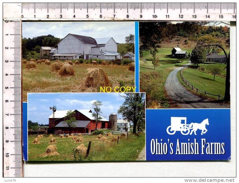 OHIO'S AMISH FARMS -    3 Vues - Sonstige & Ohne Zuordnung