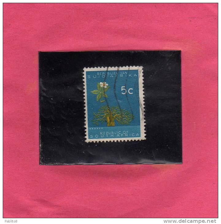 SUD SOUTH AFRICA RSA AFRIQUE 1961 FLORA BAOBAB TREE ALBERO ALBERI USED - Used Stamps