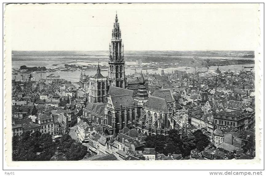 BELGIQUE - ANVERS - Cathédrale Et Coude D'Austruweel - Antwerpen