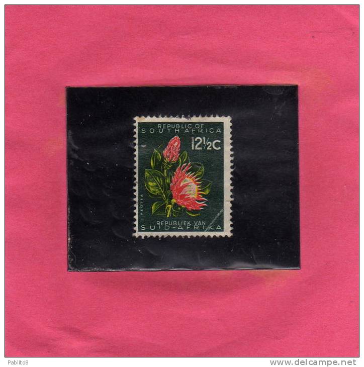 SUD SOUTH AFRICA RSA AFRIQUE 1961 FLORA FLOWERS PROTEA FLOWER FIORI FIORE FLEURS USED - Used Stamps