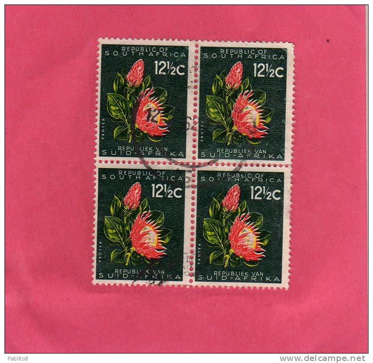 SUD SOUTH AFRICA RSA AFRIQUE 1961 FLORA FLOWERS PROTEA FLOWER FIORI FIORE FLEURS USED - Used Stamps
