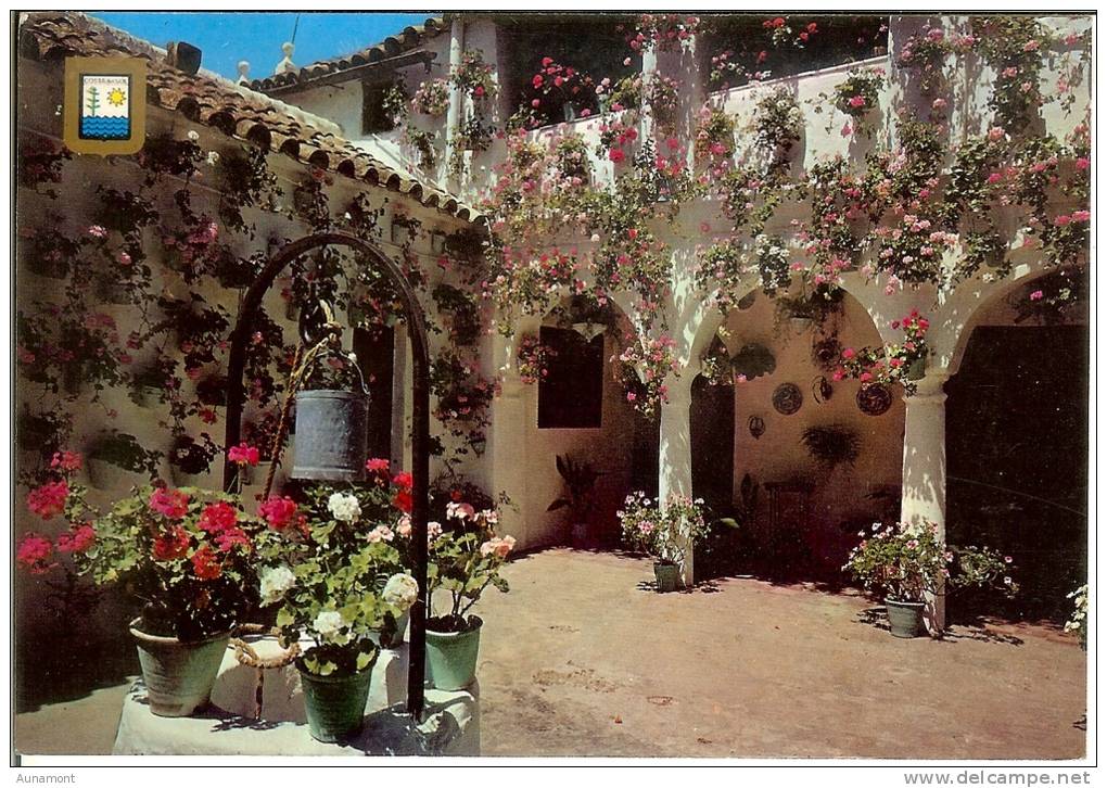 España--Malaga--1985--Patio Andaluz--Fechador--Malaga-a, Auray, Francia - Flores