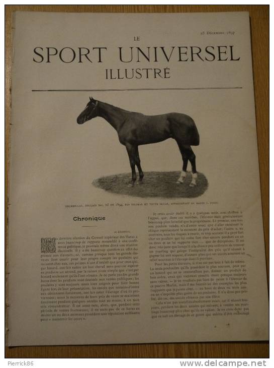 1897 BOXE SALLE CASTERES / HARAS DE MATEBA CONGO BELGE /ETABLISSEMENT LAMICHE ET DOMANGE PARIS