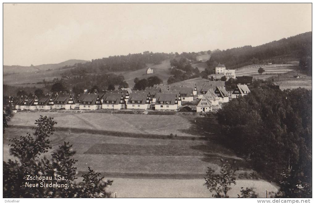 Zschopau, Neue Siedlung, Foto-AK Um 1930 - Zschopau