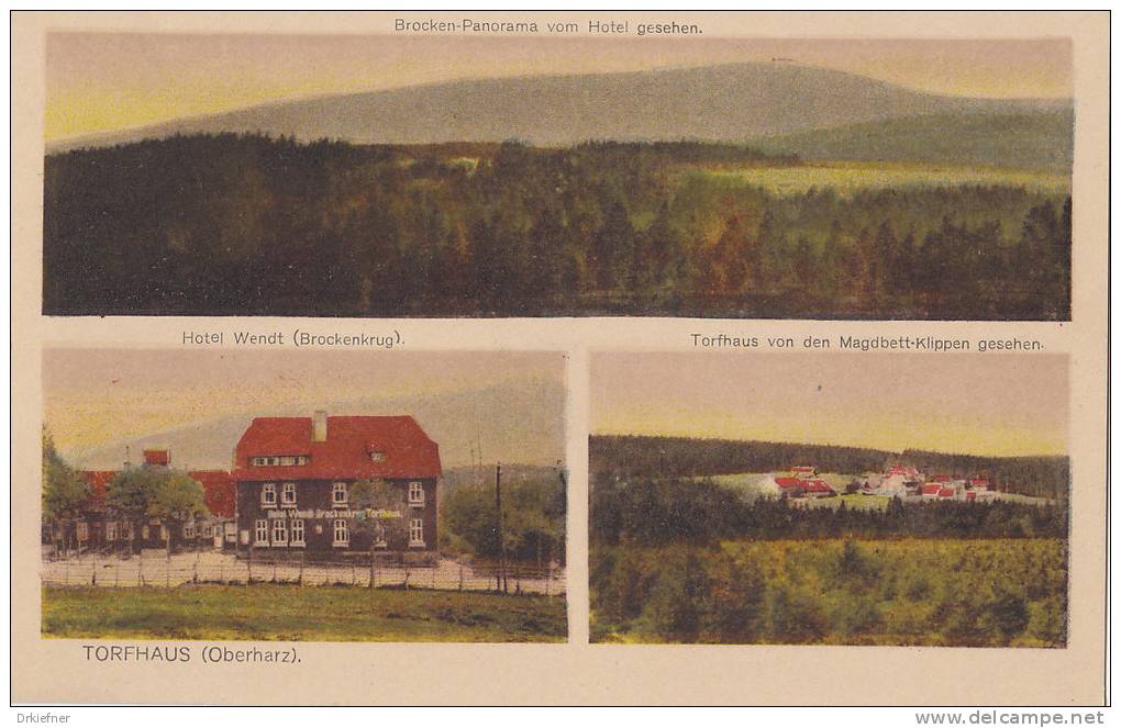 Torfhaus, Hotel Wendt Und Brocken-Panorama, Um 1910 - Altenau