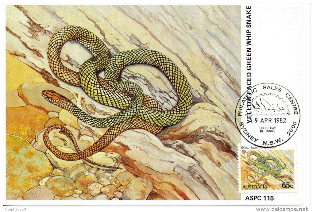 AUSTRALIE. N°769  De 1982 Sur Carte Maximum. Serpent. - Serpenti