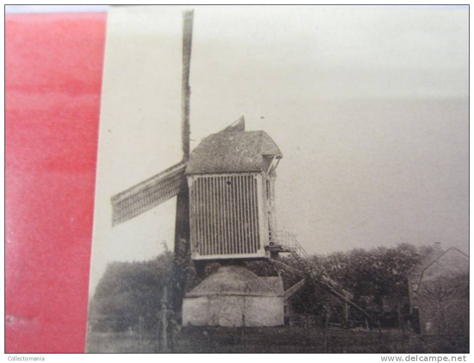 4 Postk.  PEER   : Nieuwstr.,       MOLEN,       WINDMOLEN,       STADHUIS - Peer