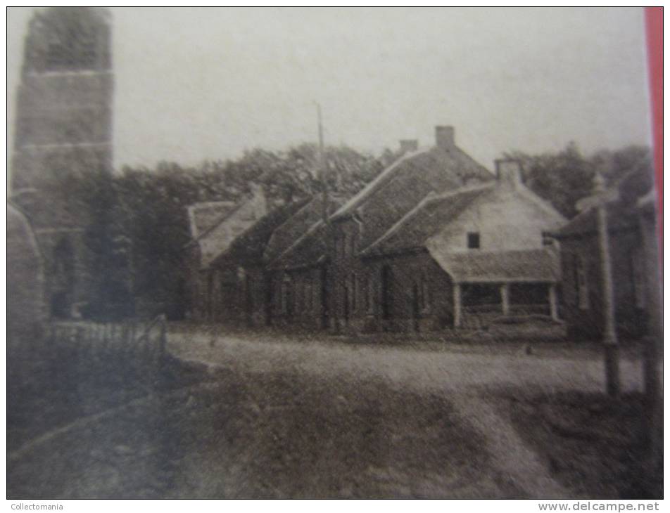 4 postk.  PEER   : Nieuwstr.,       MOLEN,       WINDMOLEN,       STADHUIS