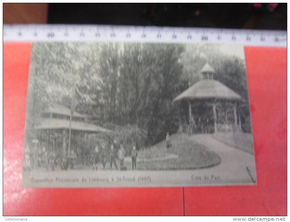 9  postk.:    St.TRUIDEN:  Bld  TIRLEMONT, GARE,  Collège,  Chateau de RYckel,  Exposition (1907) (5)