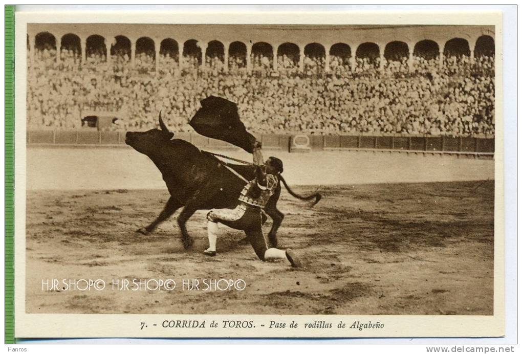 CORIDA De TOROS Um 1930/1940,  Verlag: L: Roisin; Barcelona. , POSTKARTE, Unbenutzte Karte - Stierkampf