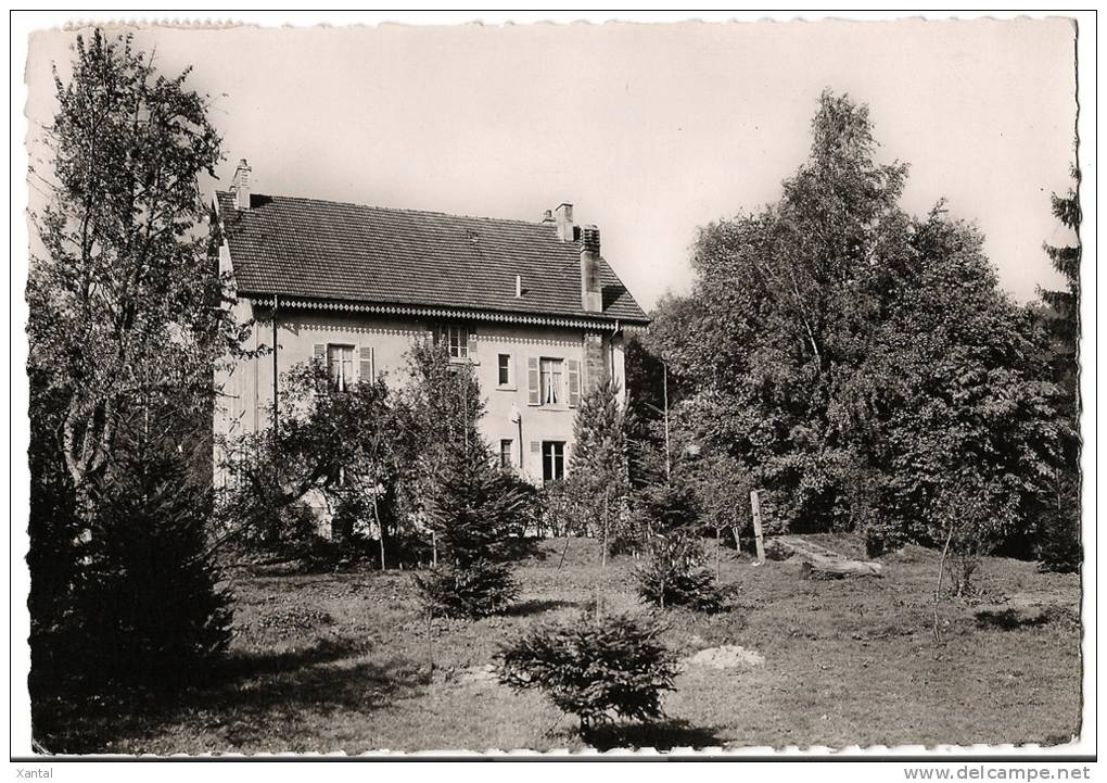 GIROMAGNY - Colonie De Vacances Les Trois Lys De St Louis - Au Rosemont - Ecrite & Timbrée En 1956 - Giromagny