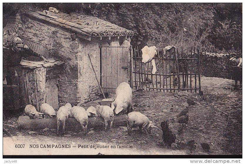 NOS CAMPAGNES Petit Déjeuner En Famille - Cochons