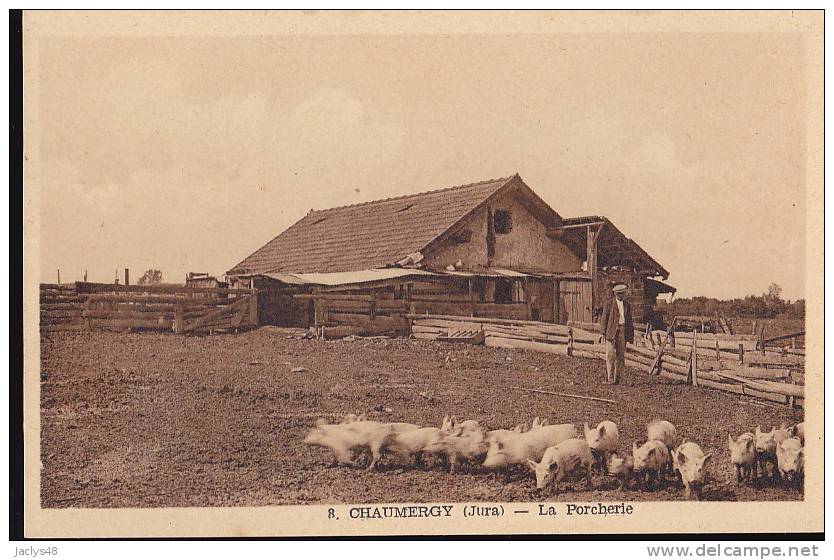 Chaumergy (CPA 39)  La Porcherie - Cochons