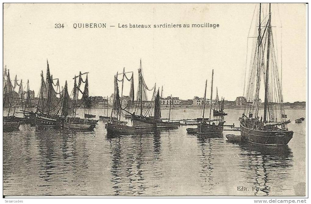 QUIBERON, LES BATEAUX SARDINIERS AU MOUILLAGE ("LE GOUEZEL") - Quiberon