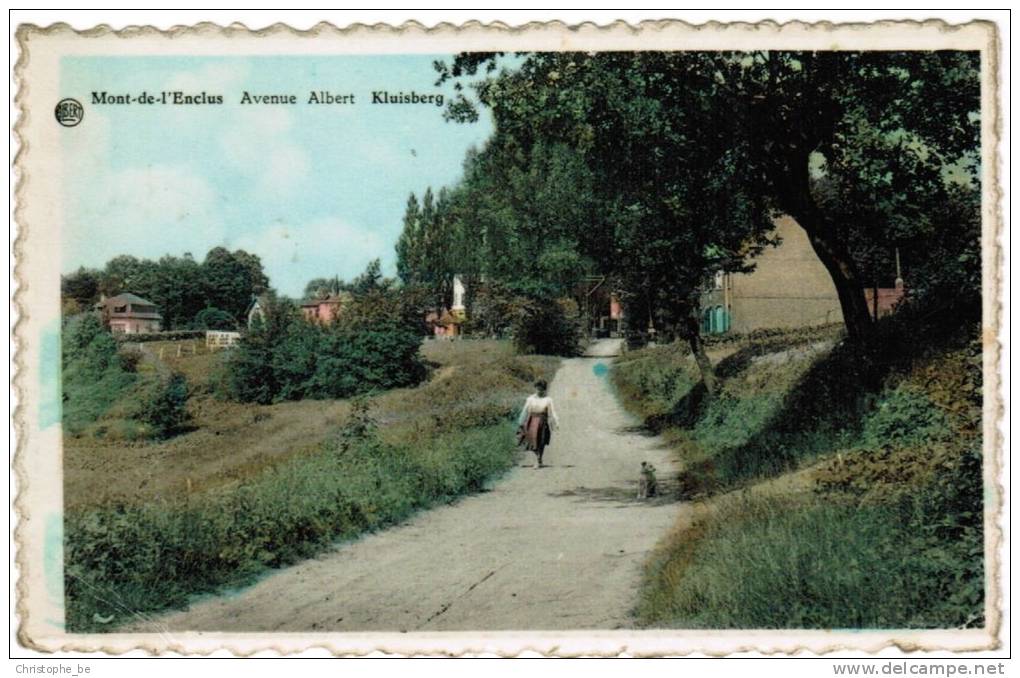 Kluisberg, Mont De L'Enclus, Avenue Albert (pk9135) - Kluisbergen