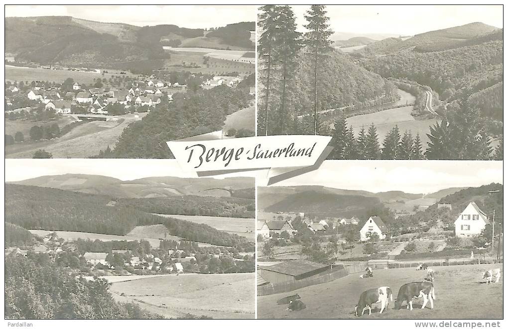 ALLEMAGNE. BERGE - SAUERLAND.  MULTI VUES. - Autres & Non Classés