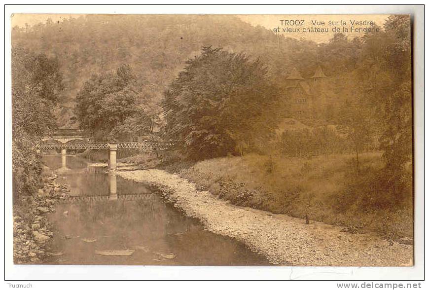 E1328 -  Trooz - Vue Sur La Vesdre Et Vieux Château De La Fenderie - Trooz