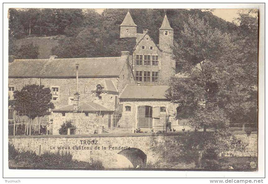 E1340 -  Trooz  -  Vieux Château De La Fenderie - Trooz