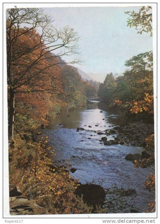 The River Derwent, Borrowdale, Cumberland, 1980 Postcard - Borrowdale