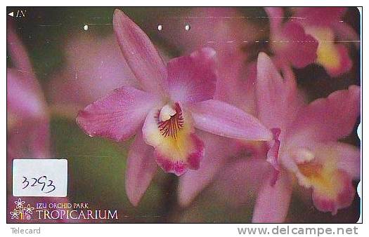 Télécarte Japon * FLEUR * ORCHID (3293) Orchidée Orquídea Orchidee Orquidée Orchid * Flower Phonecard JAPAN - Fleurs