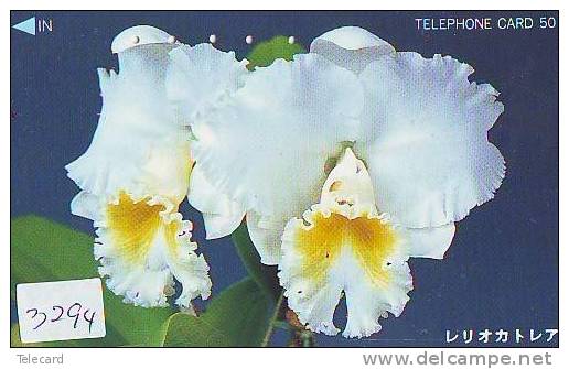 Télécarte Japon * FLEUR * ORCHID (3294) Orchidée Orquídea Orchidee Orquidée Orchid * Flower Phonecard JAPAN - Flores