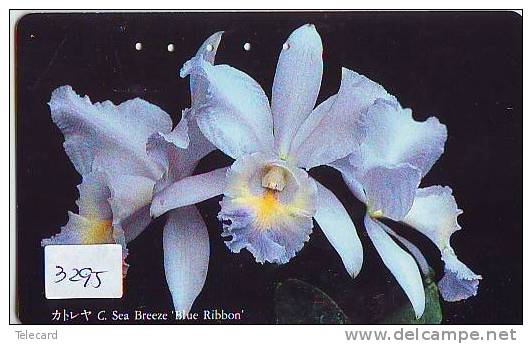 Télécarte Japon * FLEUR * ORCHID (3295) Orchidée Orquídea Orchidee Orquidée Orchid * Flower Phonecard JAPAN - Flores