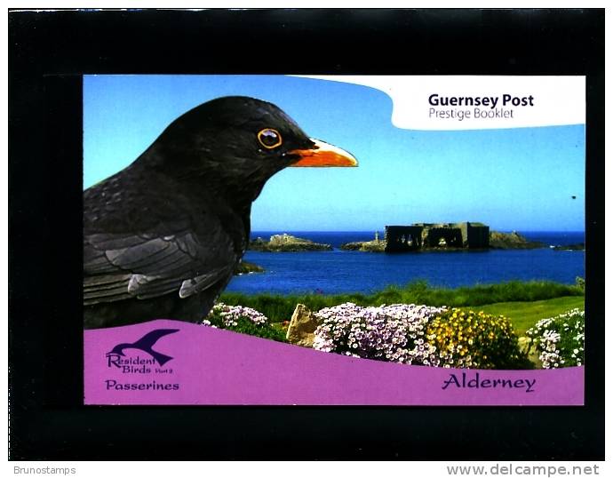 ALDERNEY - 2007  RESIDENT BIRDS  2   PRESTIGE BOOKLET   MINT NH - Alderney
