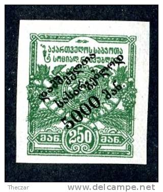 13592 ~   RUSSIA / Gerogia  1922   Sc.# B3 Imperf  (*) - Georgia