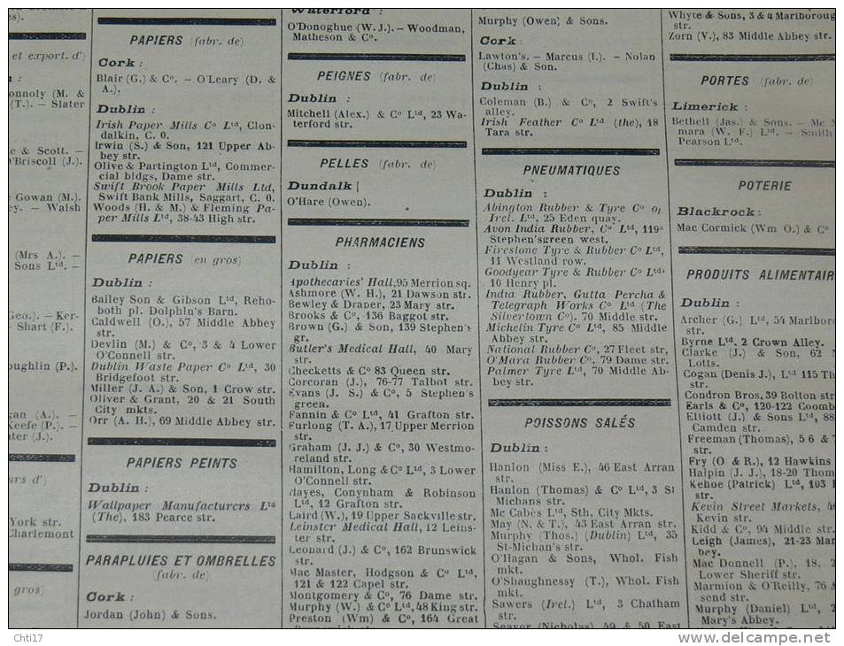 IRLANDE NORD/ SUD ULSTER BELFAST  DUBLIN CORK  EXTR ANNUAIRE BOTTIN PROFESSIONS 1934  INDUSTRIELS COMMERCES ET METIERS - Telephone Directories