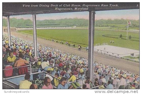 Maryland Haggerstown View From Dining Deck Of Club House Haggerstown Race Track - Hagerstown