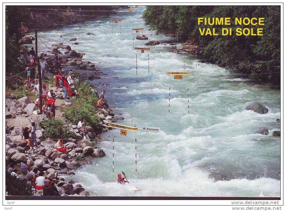 Kayak Race In Fiume Noce, Val Di Sole (Trento) - Aviron