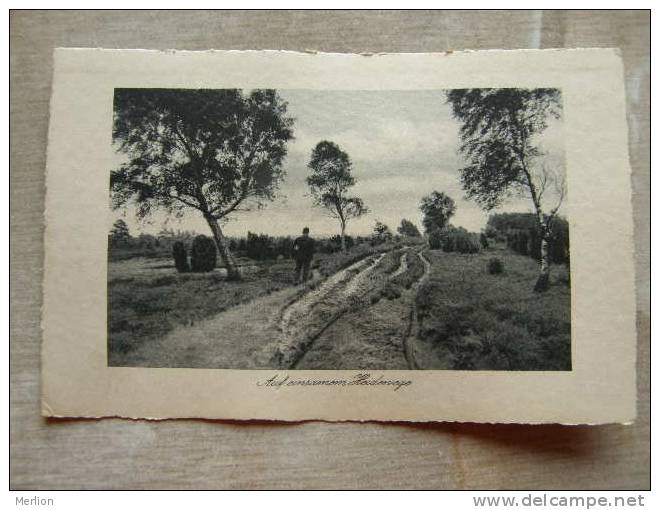 Auf Einsamen Heidervege  D98140 - Lüneburger Heide