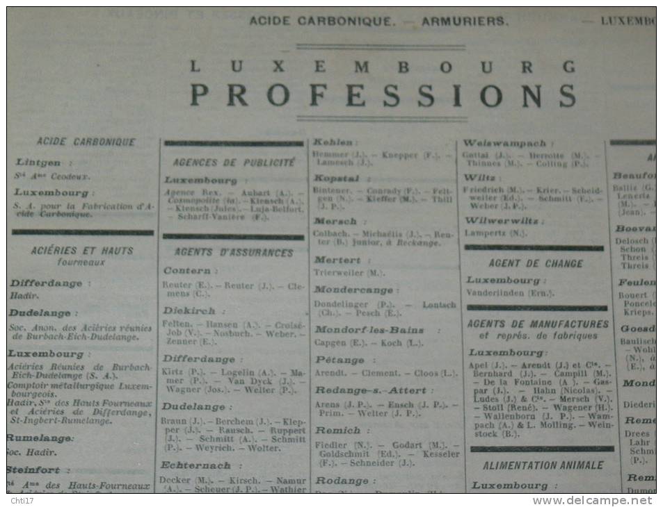 LUXEMBOURG DIEKIRCH   EXTRAIT ANNUAIRE BOTTIN PROFESSIONS 1934 INDUSTRIELS COMMERCES ET METIERS - Telefonbücher