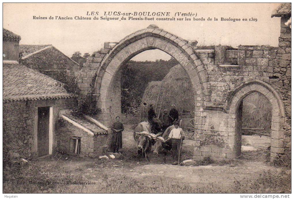 Les Lucs Sur Boulogne : Ruines De L'anicen Château Du Seigneur Du Plessis-Huet - Les Lucs Sur Boulogne
