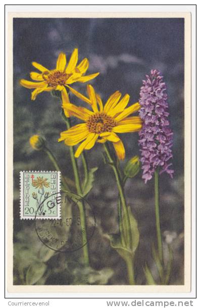 BELGIQUE => 4 Cartes Maximum => FLEURS - 1960 - Sonstige & Ohne Zuordnung