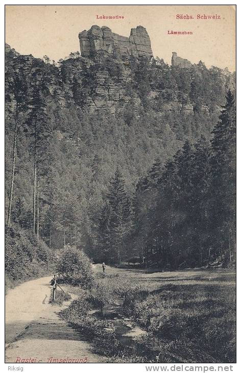 Bastei,  Amselgrund.  A-1009 - Bastei (sächs. Schweiz)