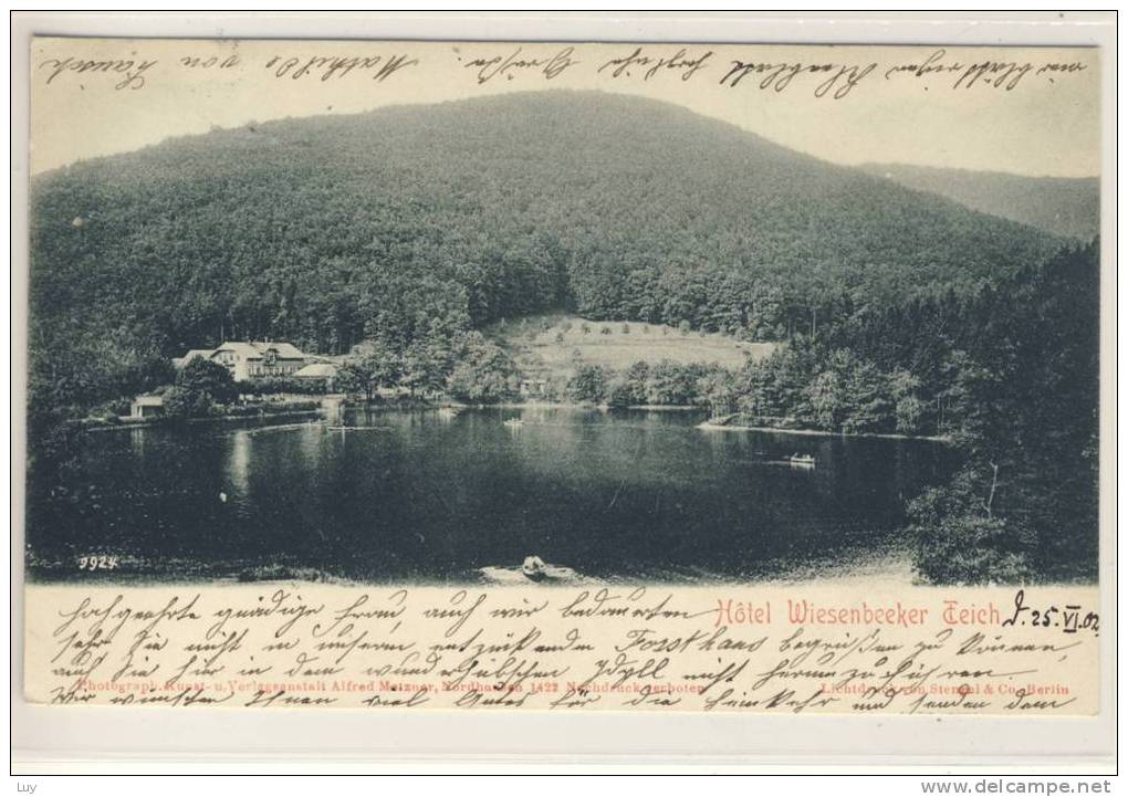 Bad LAUTERBERG;  Hotel Wiesenbeeker Teich; Vorläufer, Precurseur - Bad Lauterberg