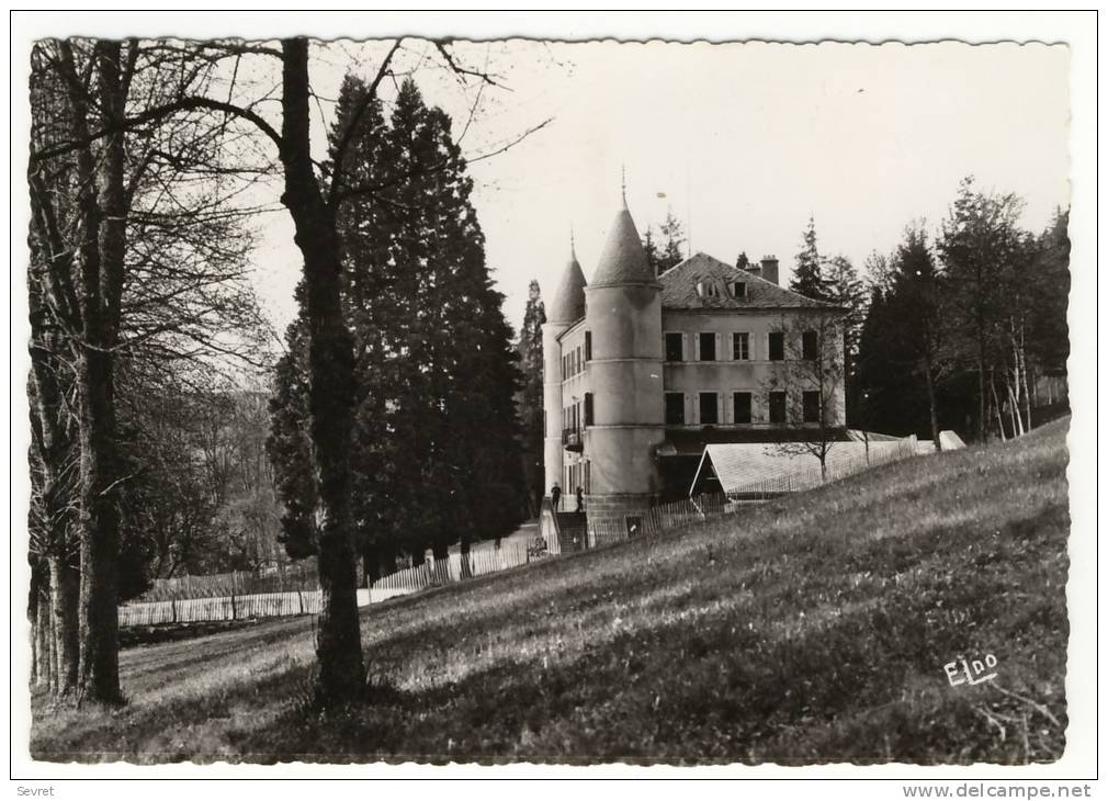 YSSINGEAUX. - Château Roméasà Montbarnier. CPM Dentelée - Yssingeaux