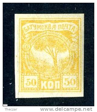 13863~ Batum  1919  Sc.# 3 (*) - Batum (1919-1920)