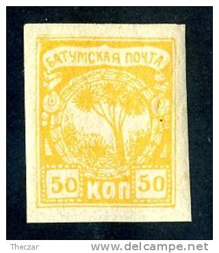 13864~ Batum  1919  Sc.# 3 (*) - Batum (1919-1920)