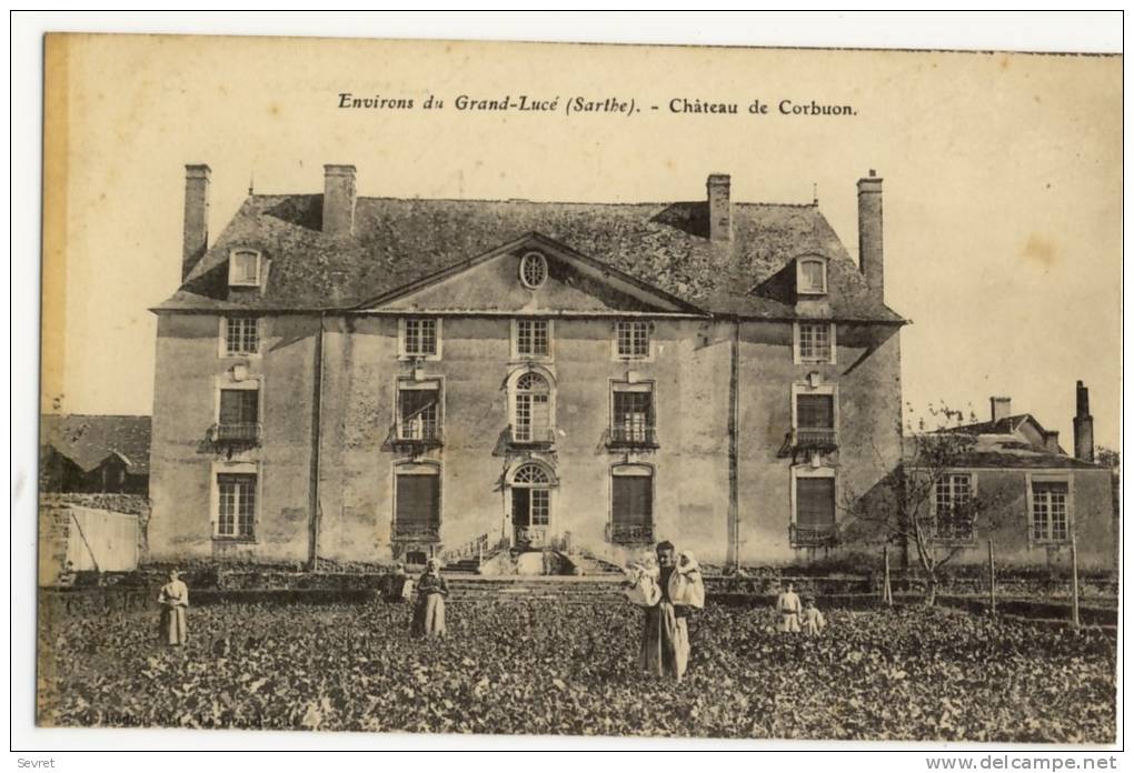 Environs Du  GRAND-LUCE. - Château De Corbuon - Le Grand Luce