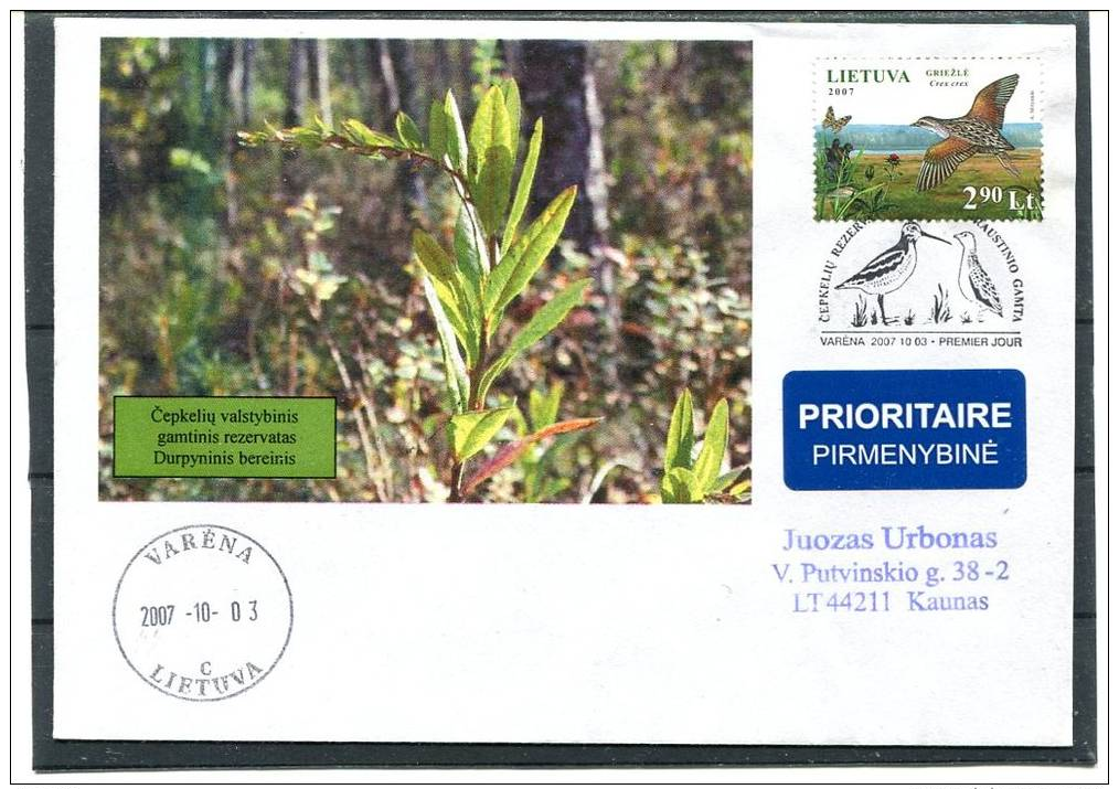 LITHUANIA 2007 COVER Cepkeliai State Nature Reserve FAUNA INSECTS. CREX CREX. Chamaedaphne Calyculata. POSTAGE  VARENA - Grues Et Gruiformes