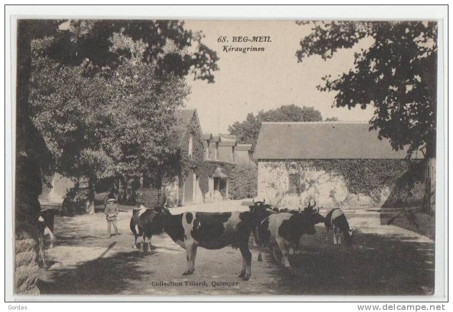 France - Beg Meil - Keraugrimen - Vache - Cow - Kuh - Beg Meil