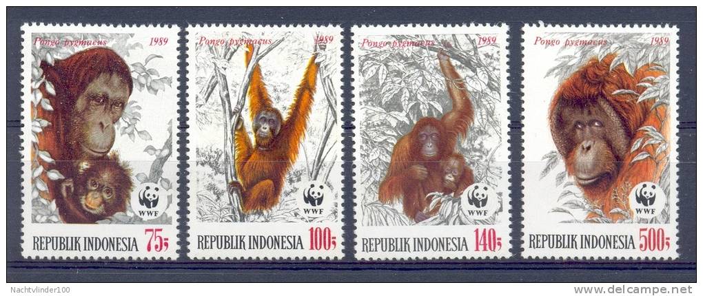 Mra079s WWF FAUNA ZOOGDIEREN AAP MONKEY ORANG OETAN URANG UTAN MAMMALS INDONESIA 1989 PF/MNH - Unused Stamps