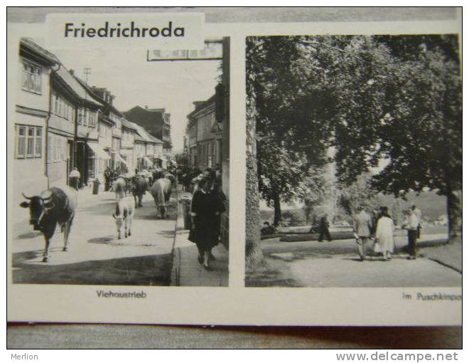 Friedrichroda    D98250 - Friedrichroda
