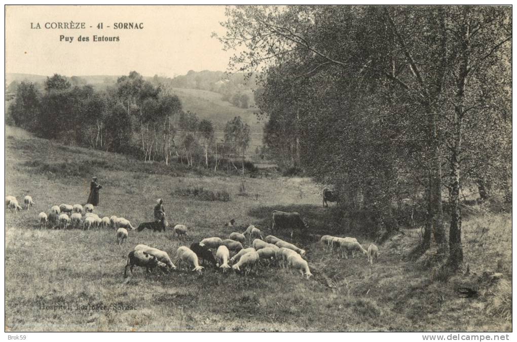 19 SORNAC - PUY DES ENTOURS - Autres & Non Classés