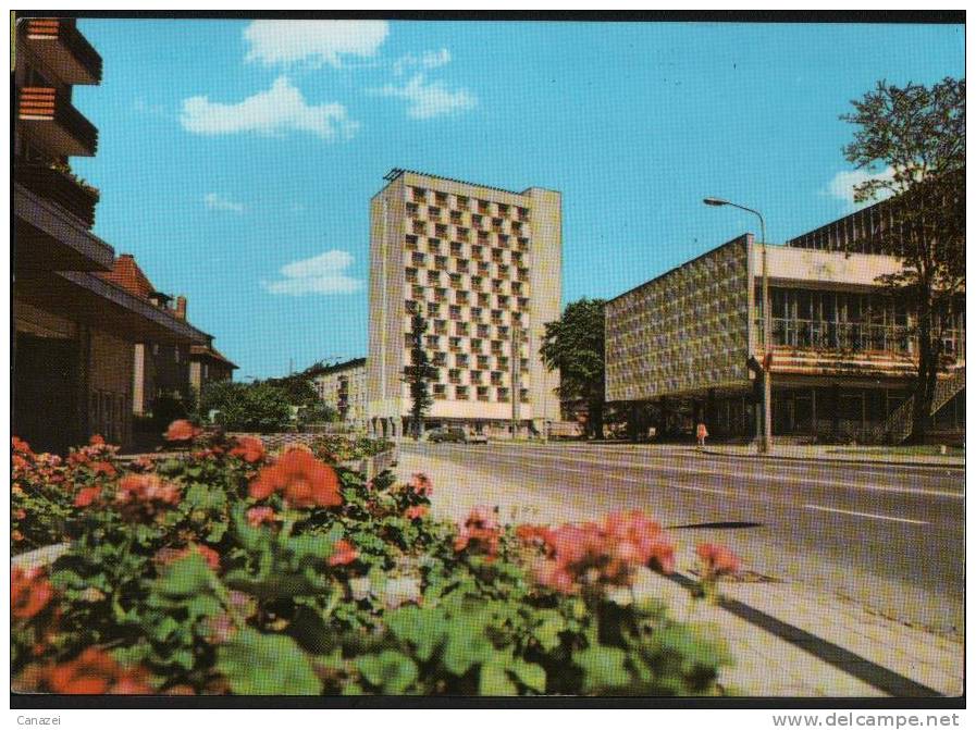 AK Suhl, Wilhelm-Pieck-Straße, Gel, 1974 - Suhl